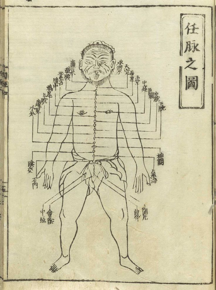 流尿狗的功效与作用