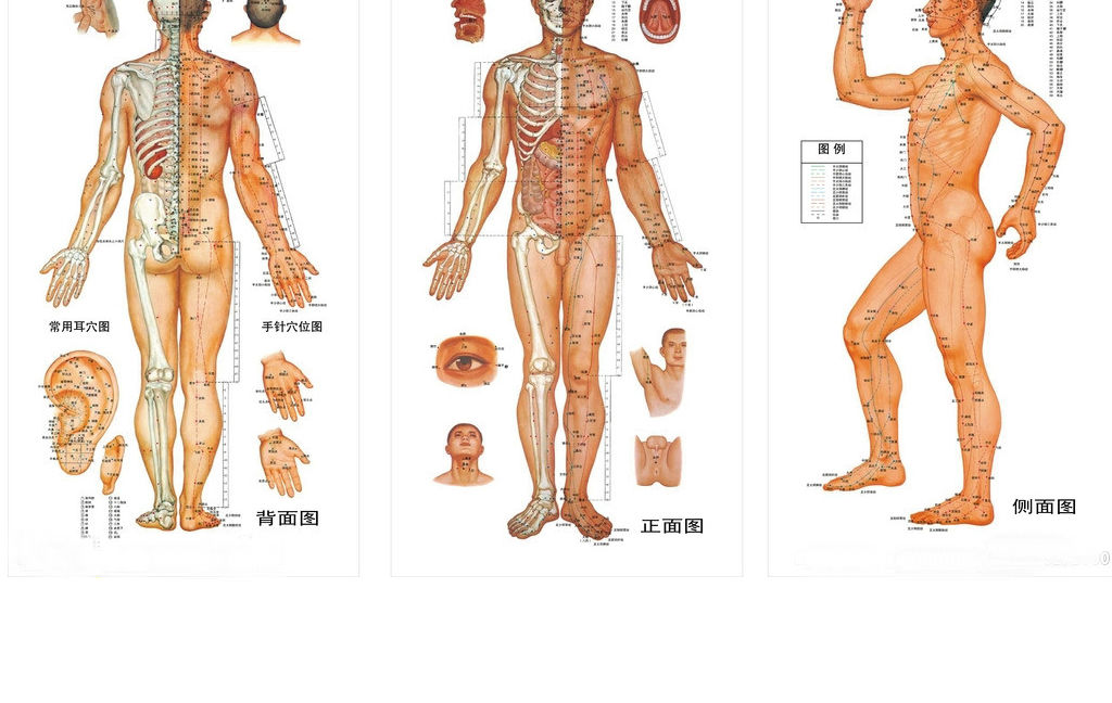 罗汉果的功效与作用
