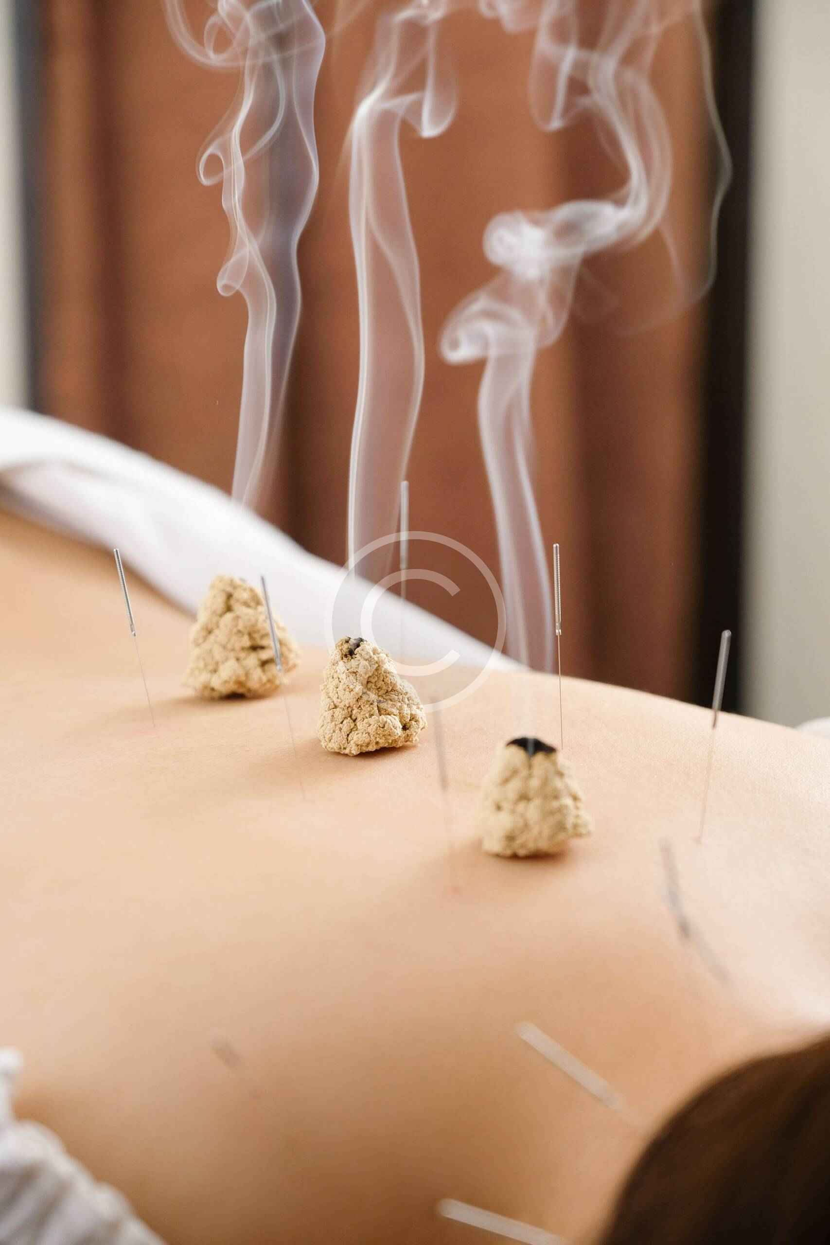 中药材干燥机