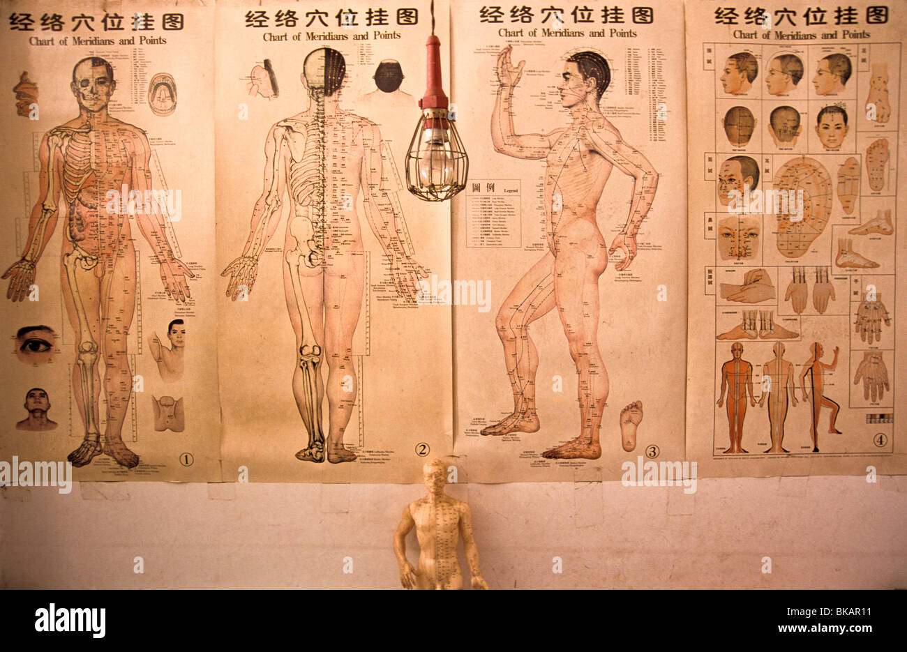 中医自学考试大专文凭