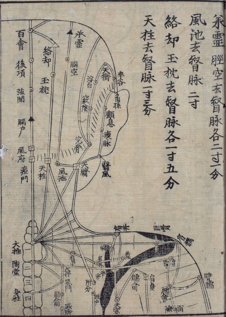 喝中药吃什么食物最好