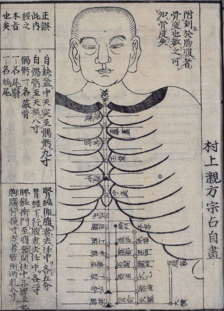 中药桔梗图片