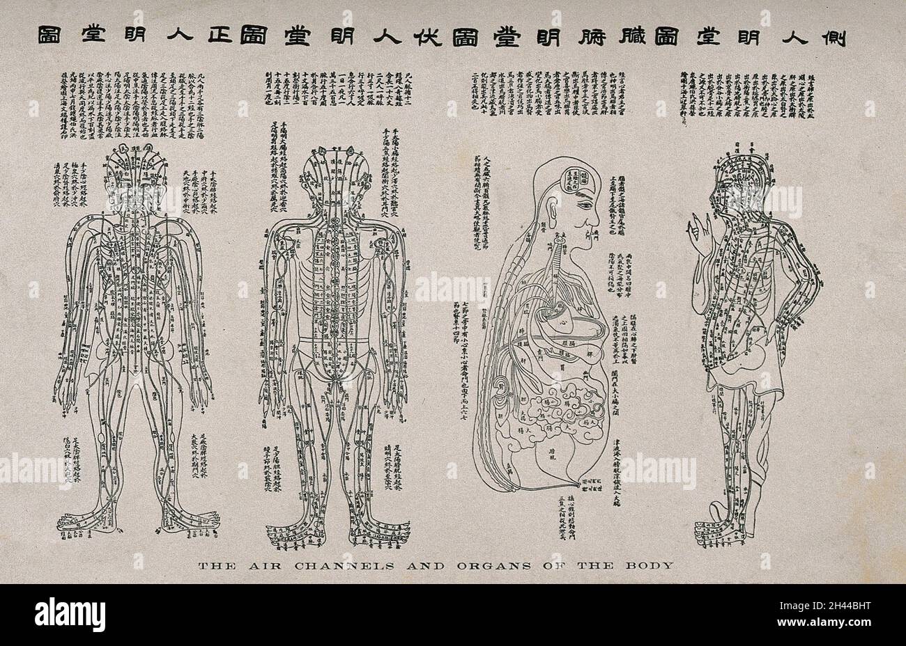 食疗与保健