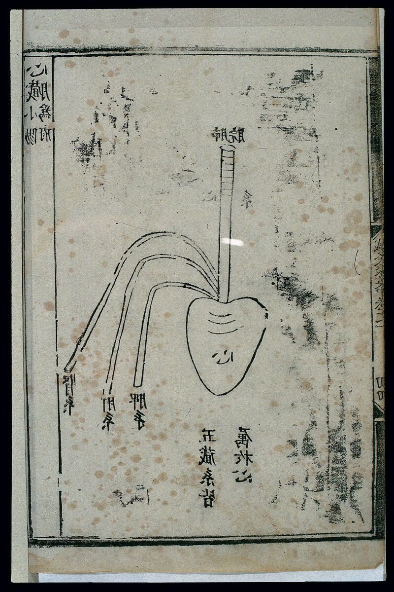 中医调理肾虚开药方