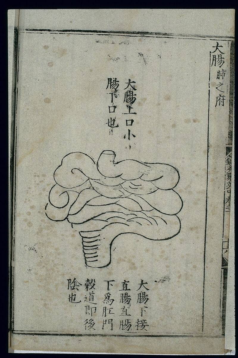桂枝加干姜汤