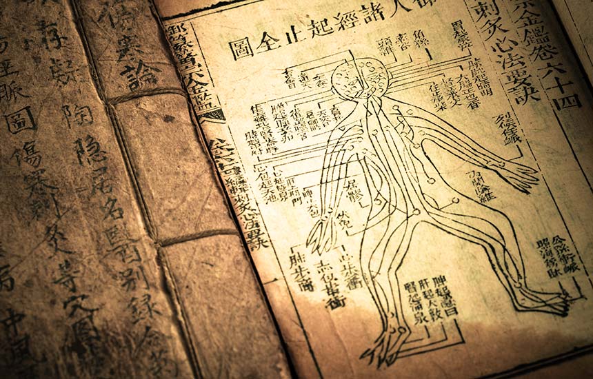 中药防风的功效和作用