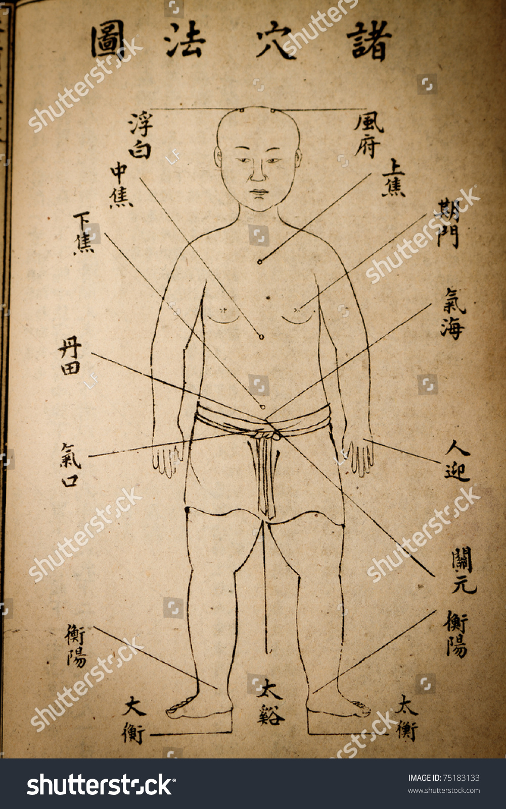 西安中药材批发市场在哪里