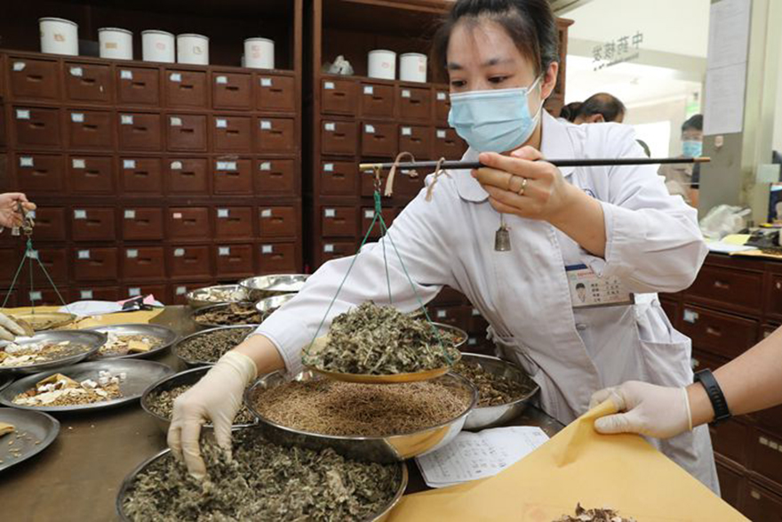 中药种植基地