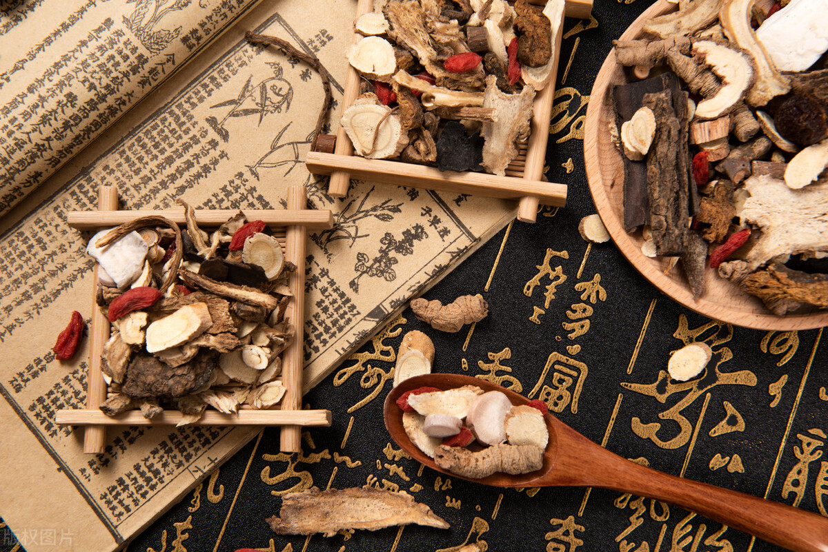 家蚕蛾的功效与作用