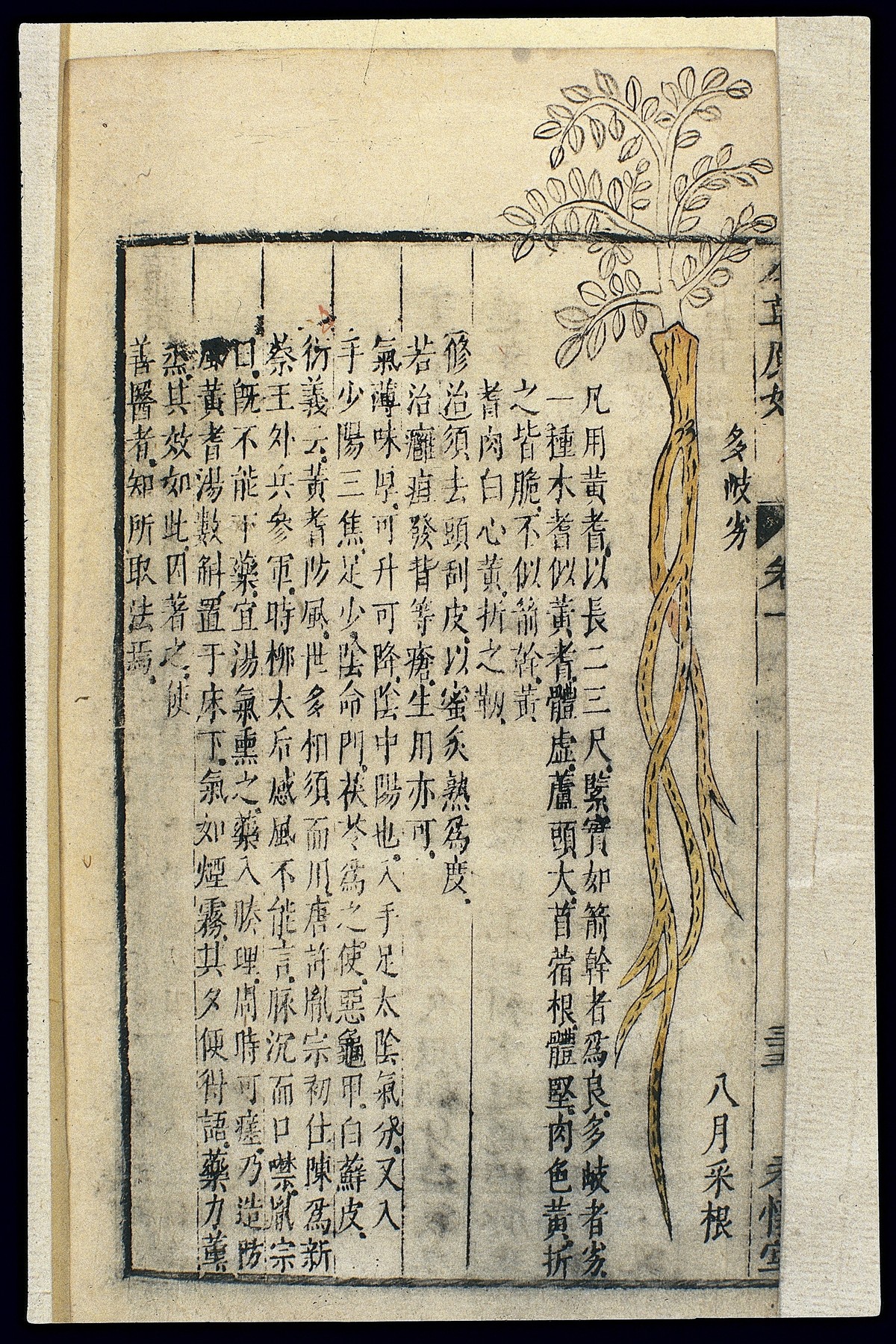 大发的功效与作用