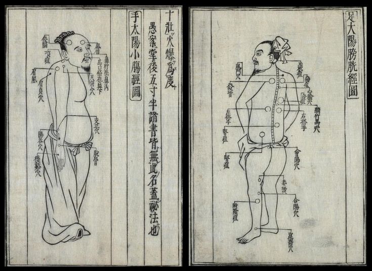 降血脂的中药有哪些