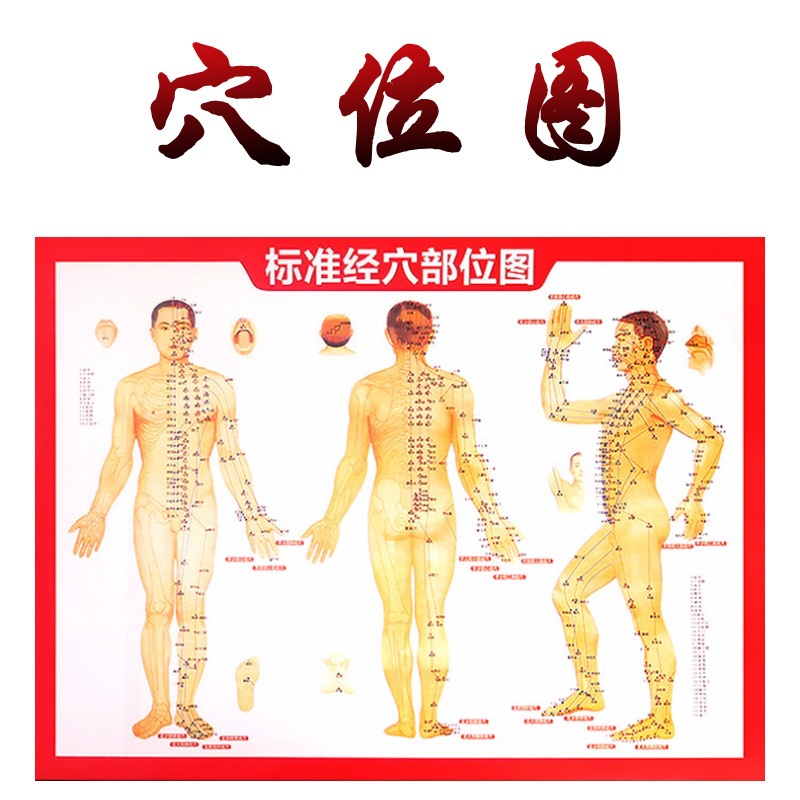 灰叶的功效与作用
