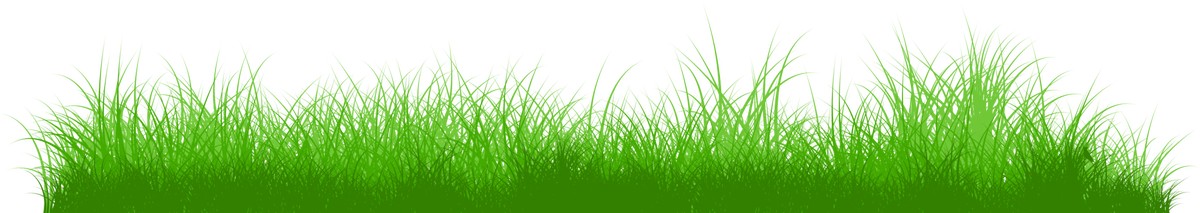 国医大师薛伯寿详细介绍