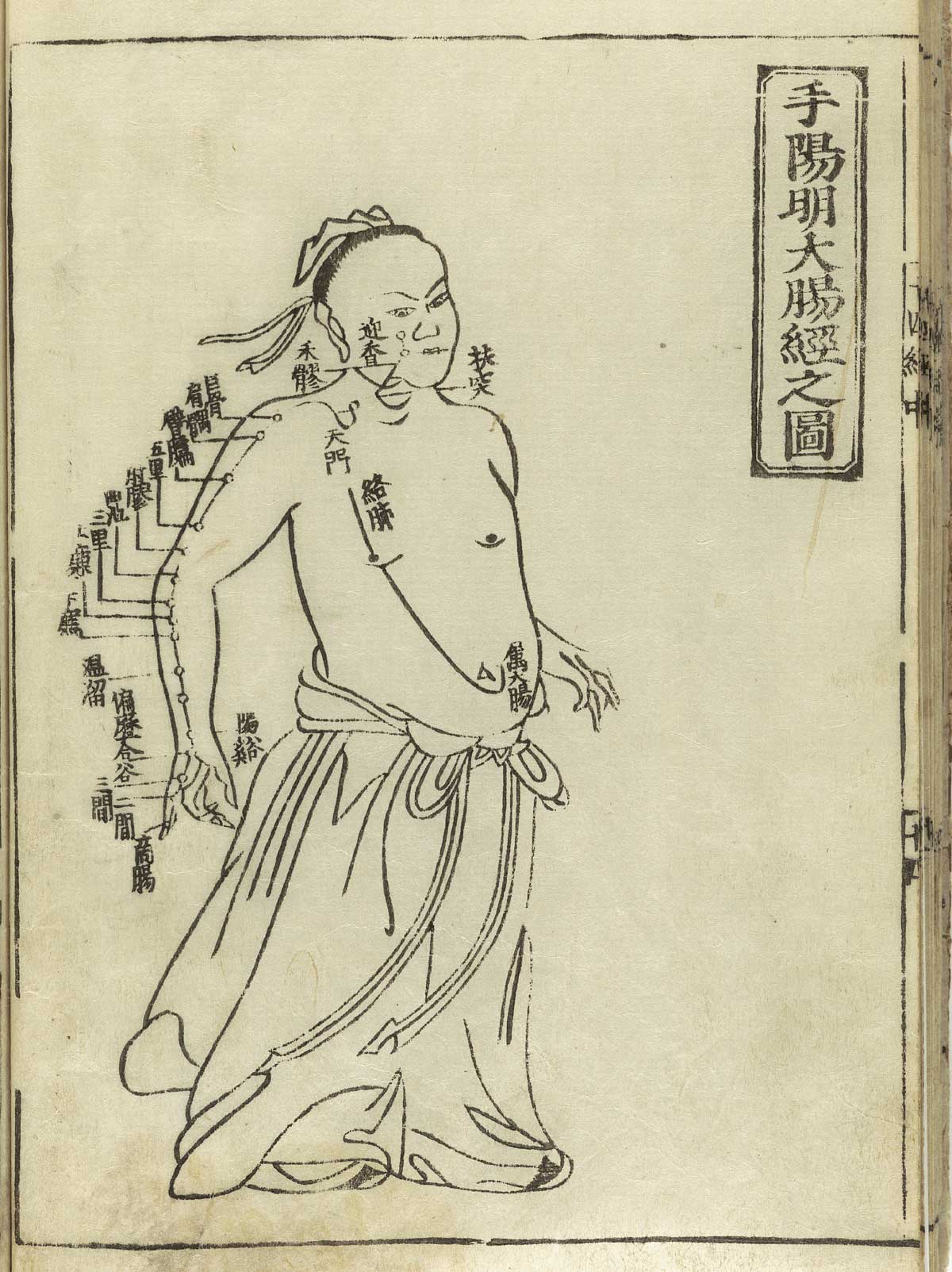 食疗白发变黑
