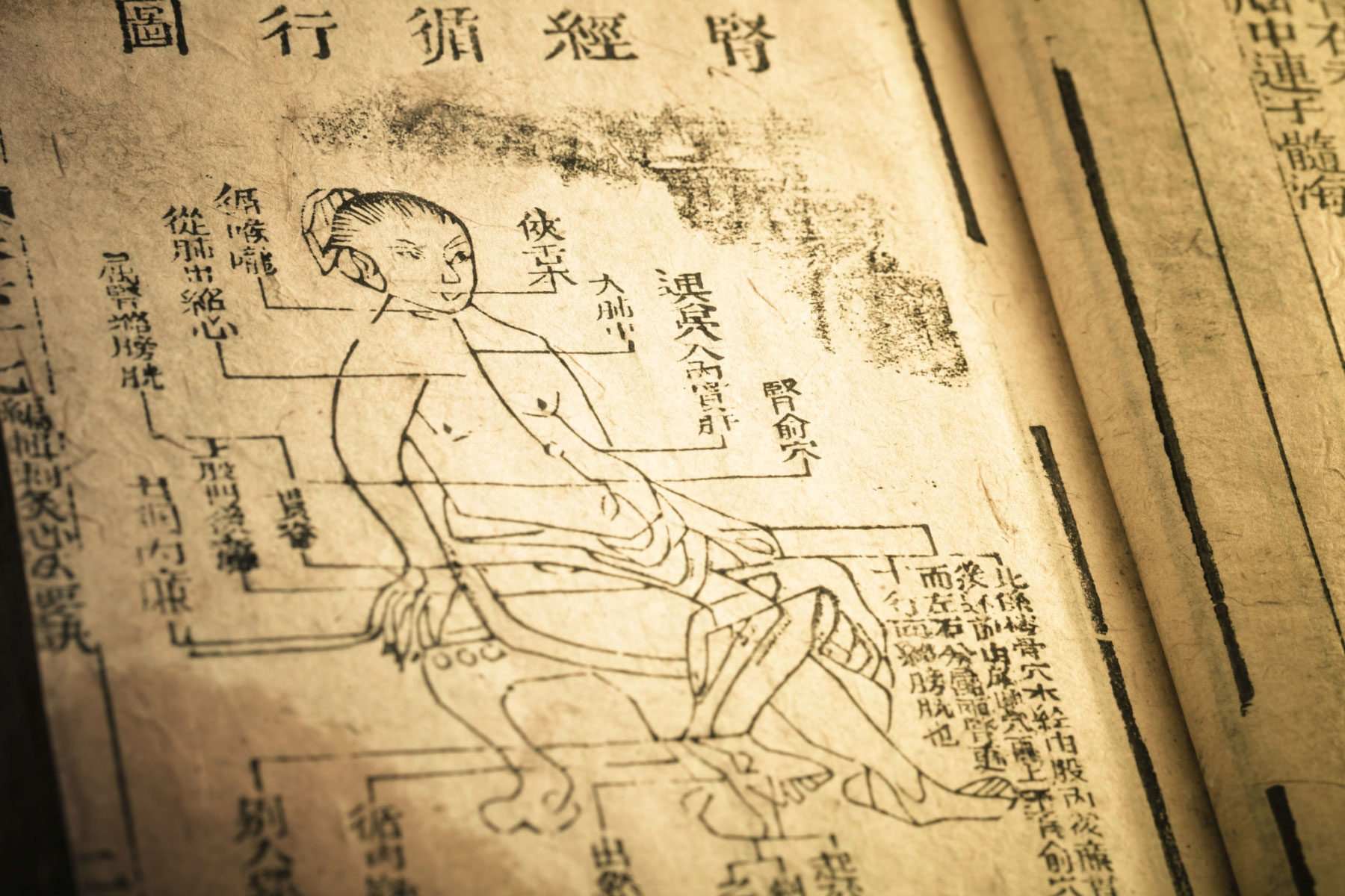 食疗便秘最快的方法