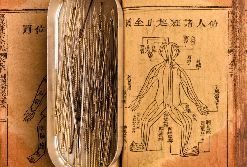 黄精的功效与作用