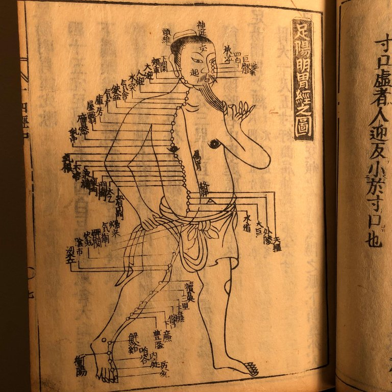 吃中药能吃绿豆吗