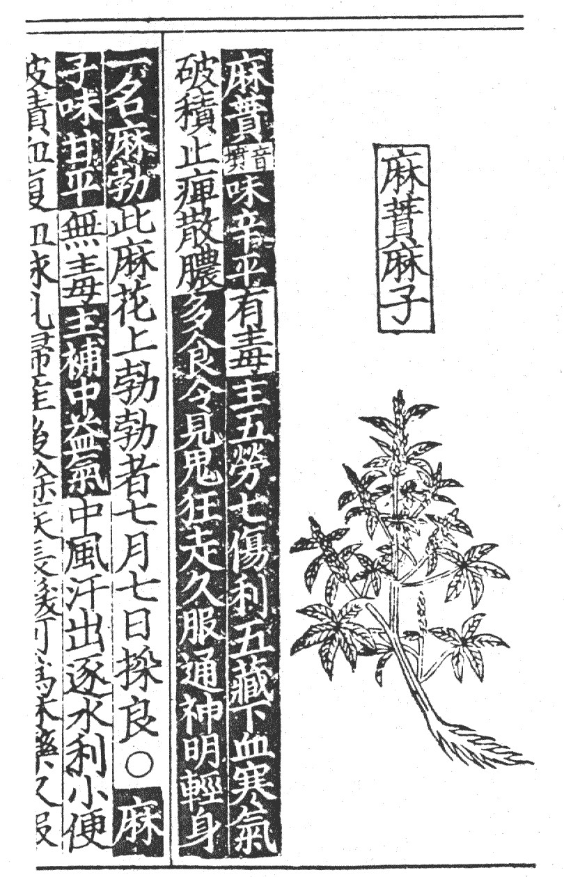 去火中药大全