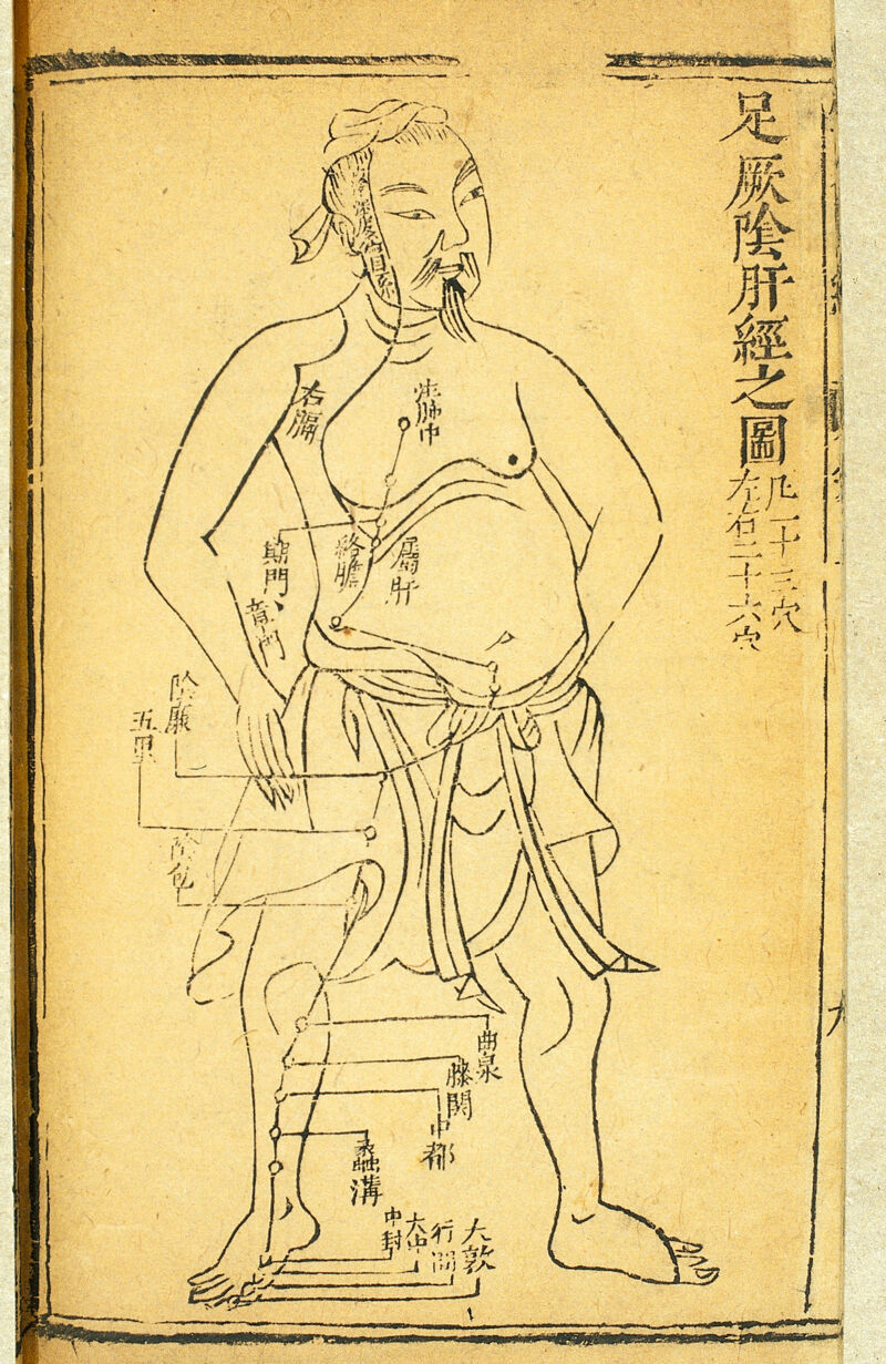 丁香中药作用与功效