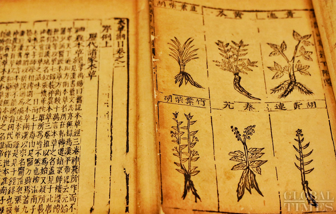 何晓晖江西中医药大学主任医师教授