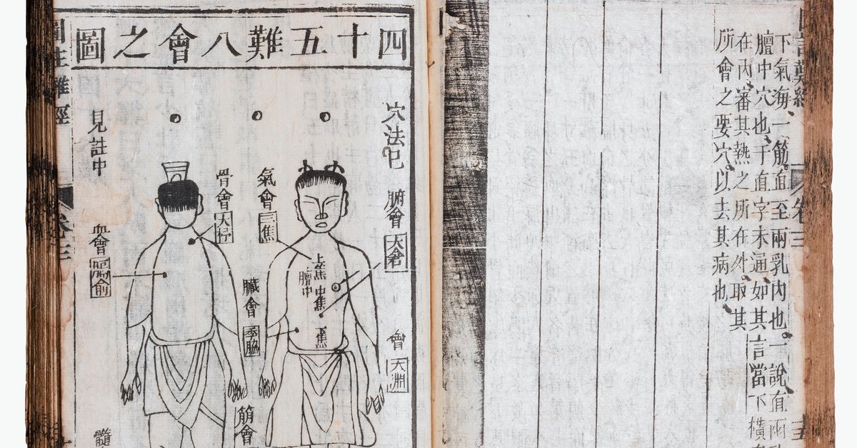 壮阳补肾中药