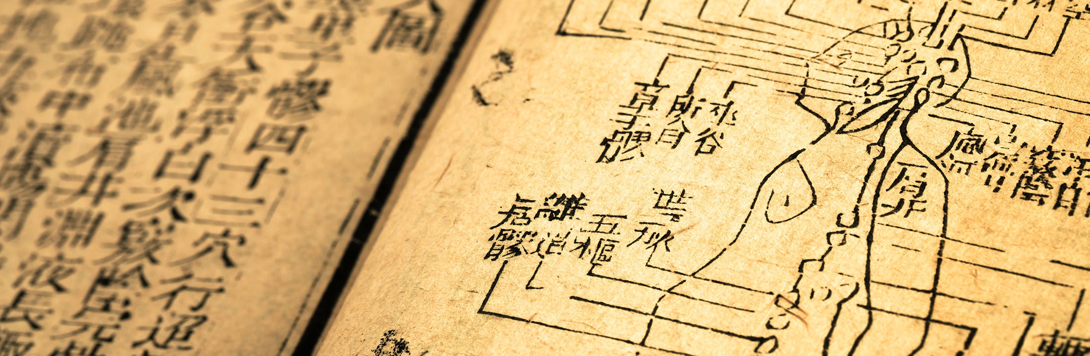 西药中药可以一起吃吗