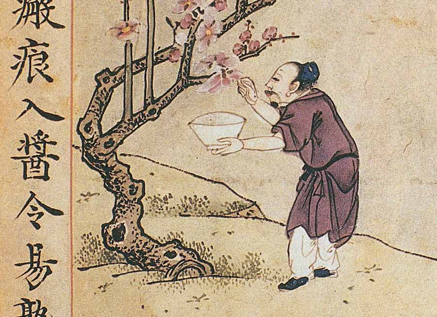 治疗失眠的最好中药方