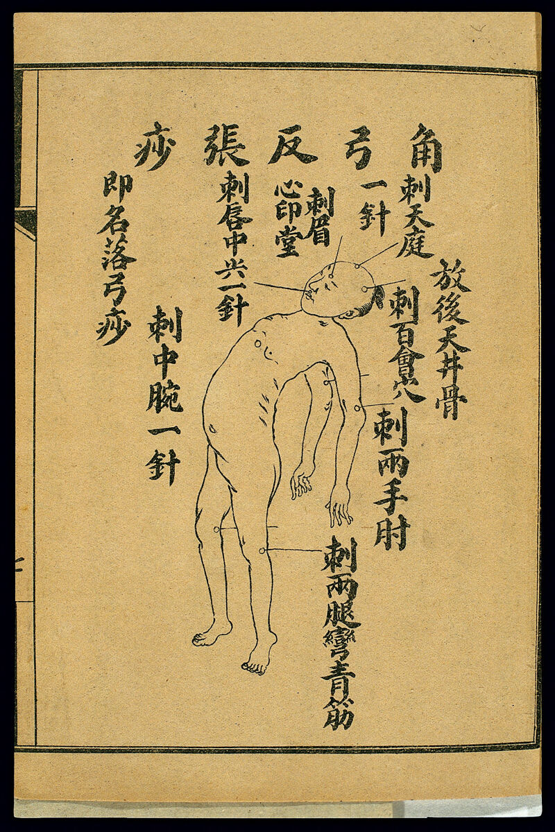 排风藤的功效与作用