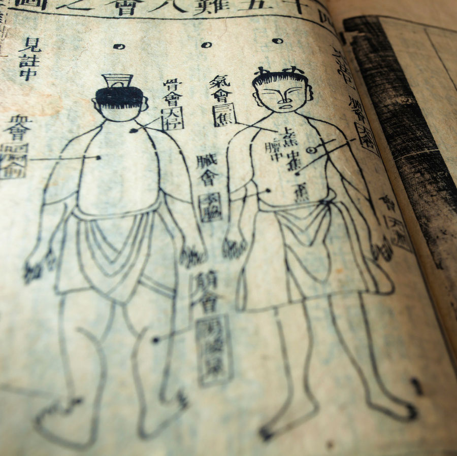蜘蛛散