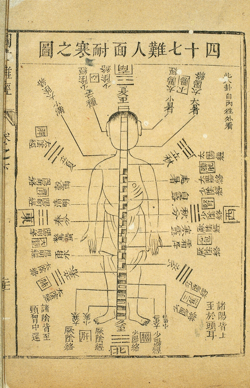 中药治疗疱疹