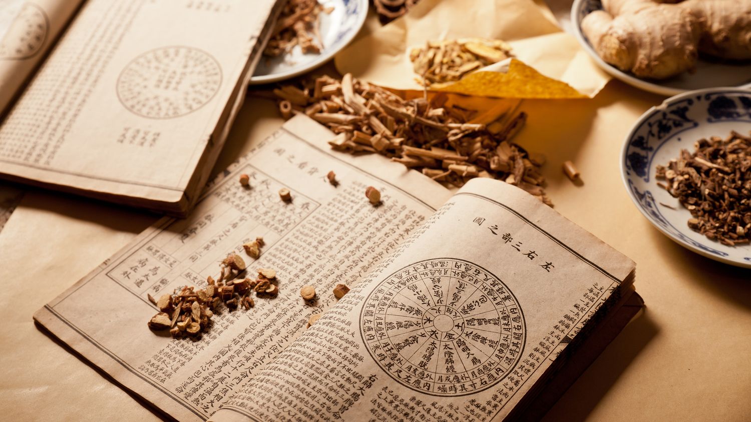 马齿苋解毒汤