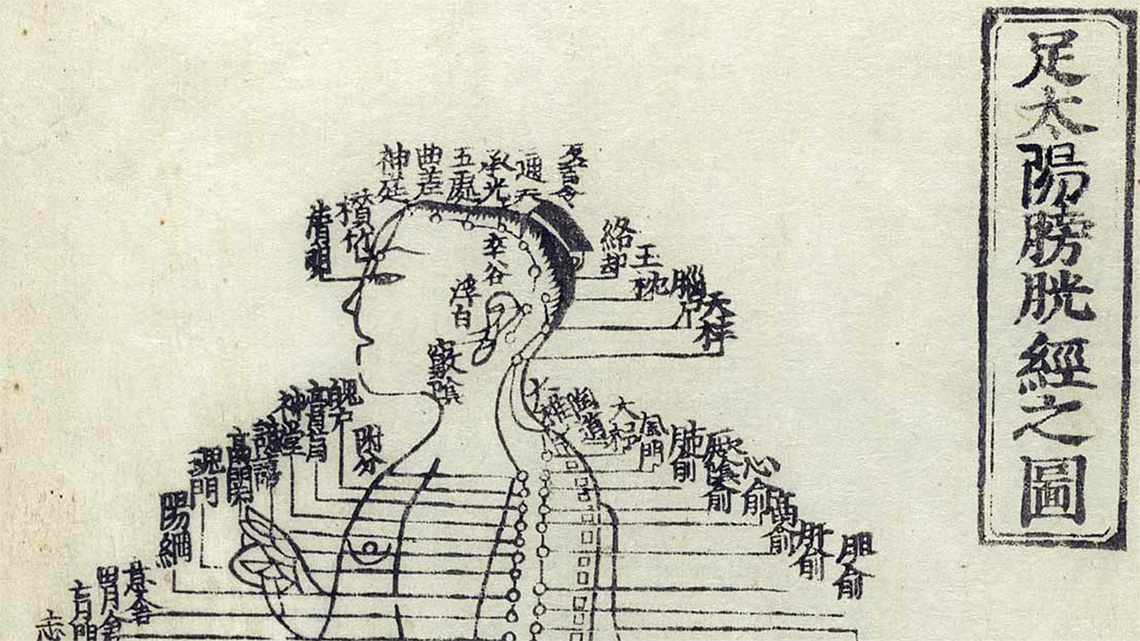 幼科种痘心法要旨