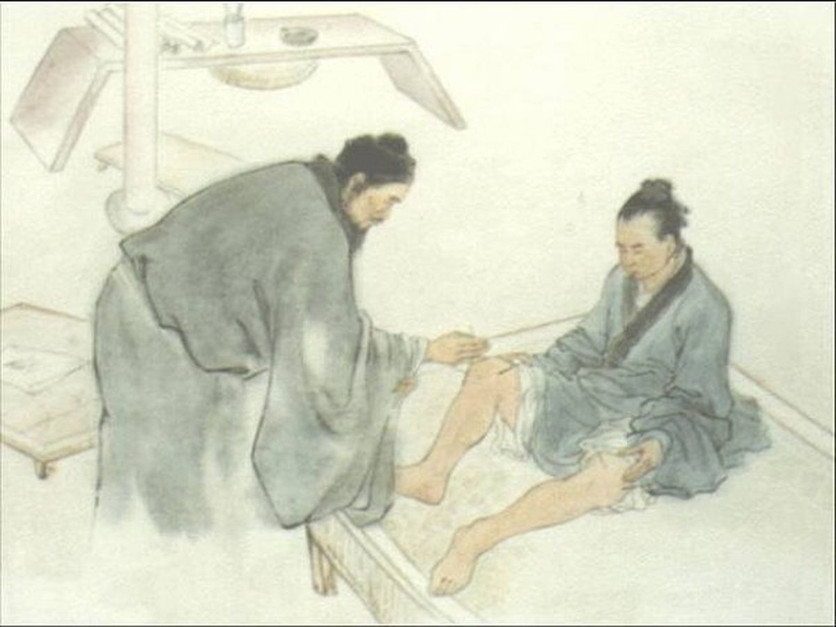 马勃绒的功效与作用