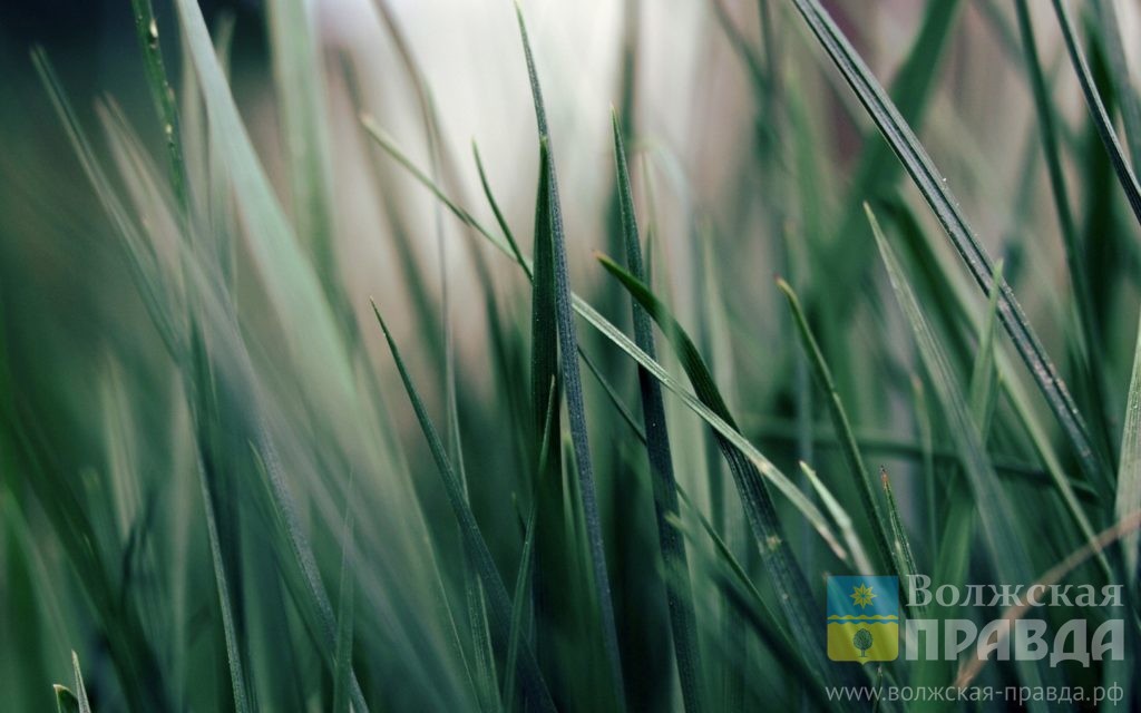 皮持衡江西中医药大学