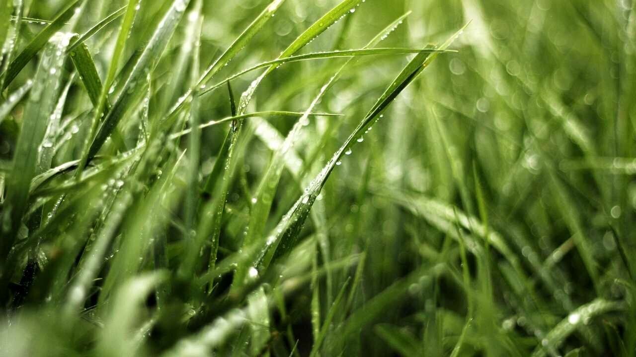 国医大师王自立详细介绍