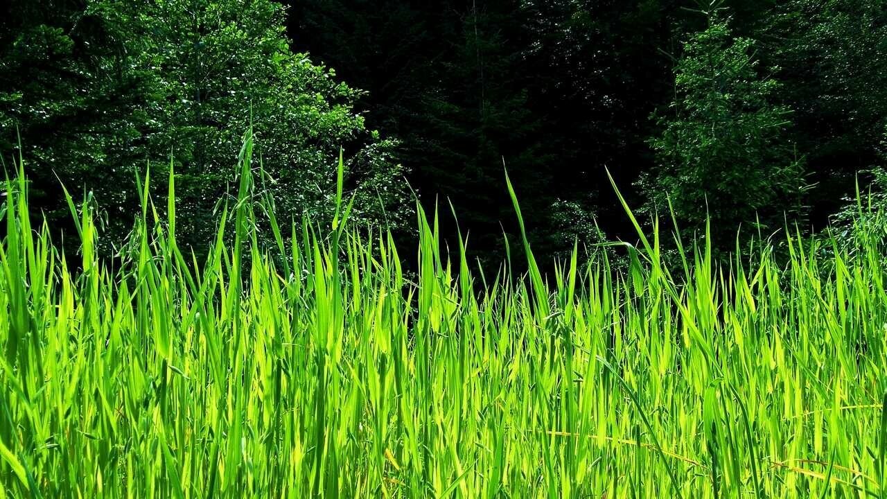 喝调理月经的中药不能吃什么