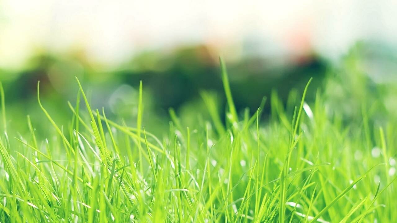 厚朴七物汤