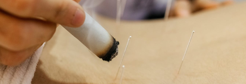 什么中药补肾壮阳生精