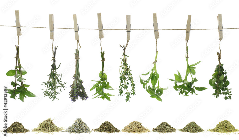 木槿花中药