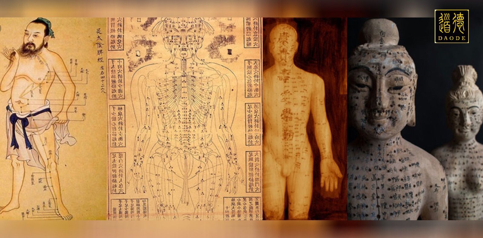 喝中药期间可以喝茶吗