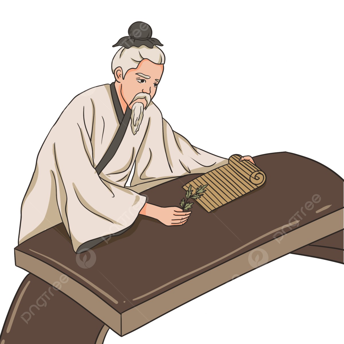 芦根的功效与作用