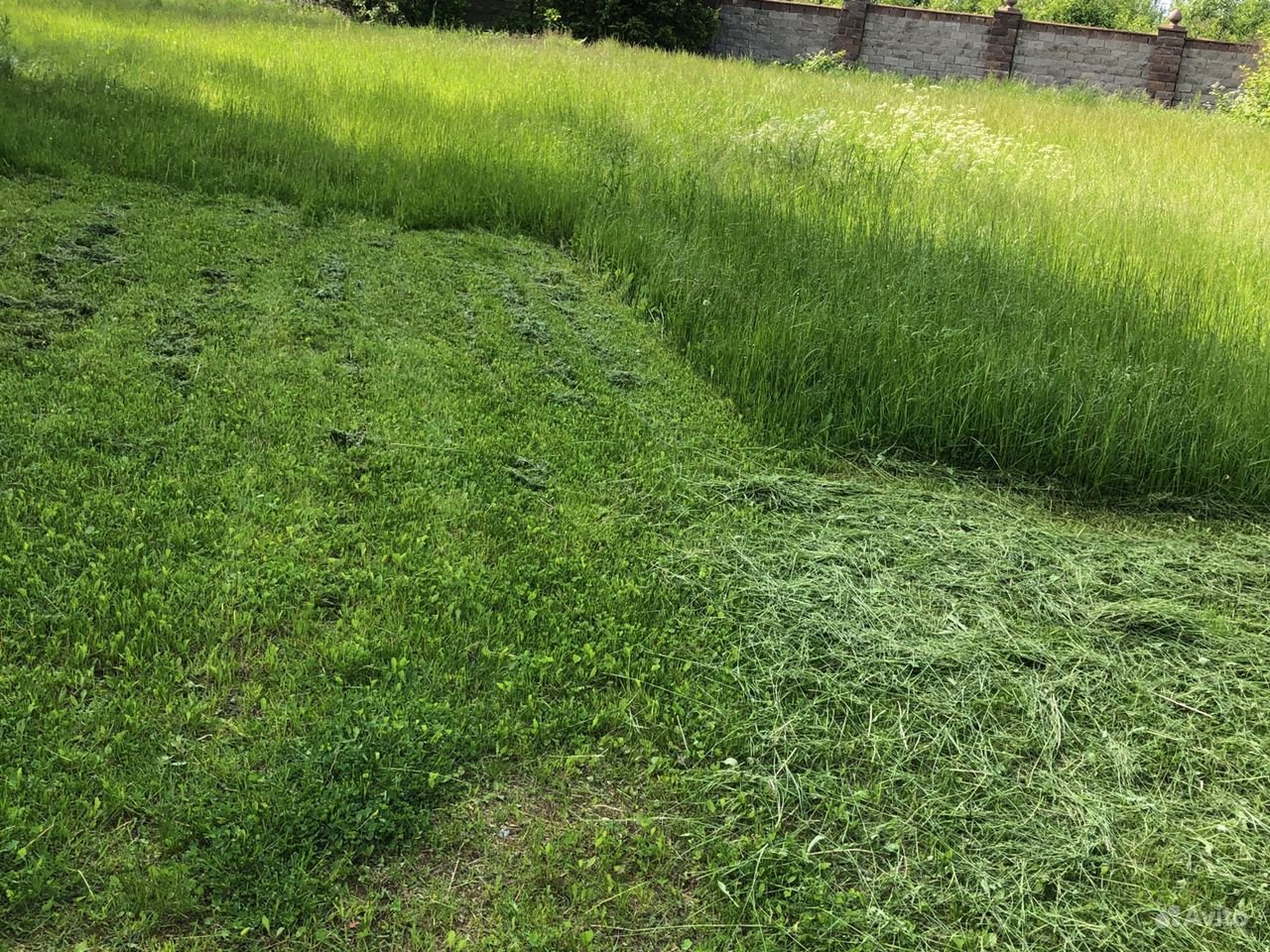肾囊肿中药治疗方法