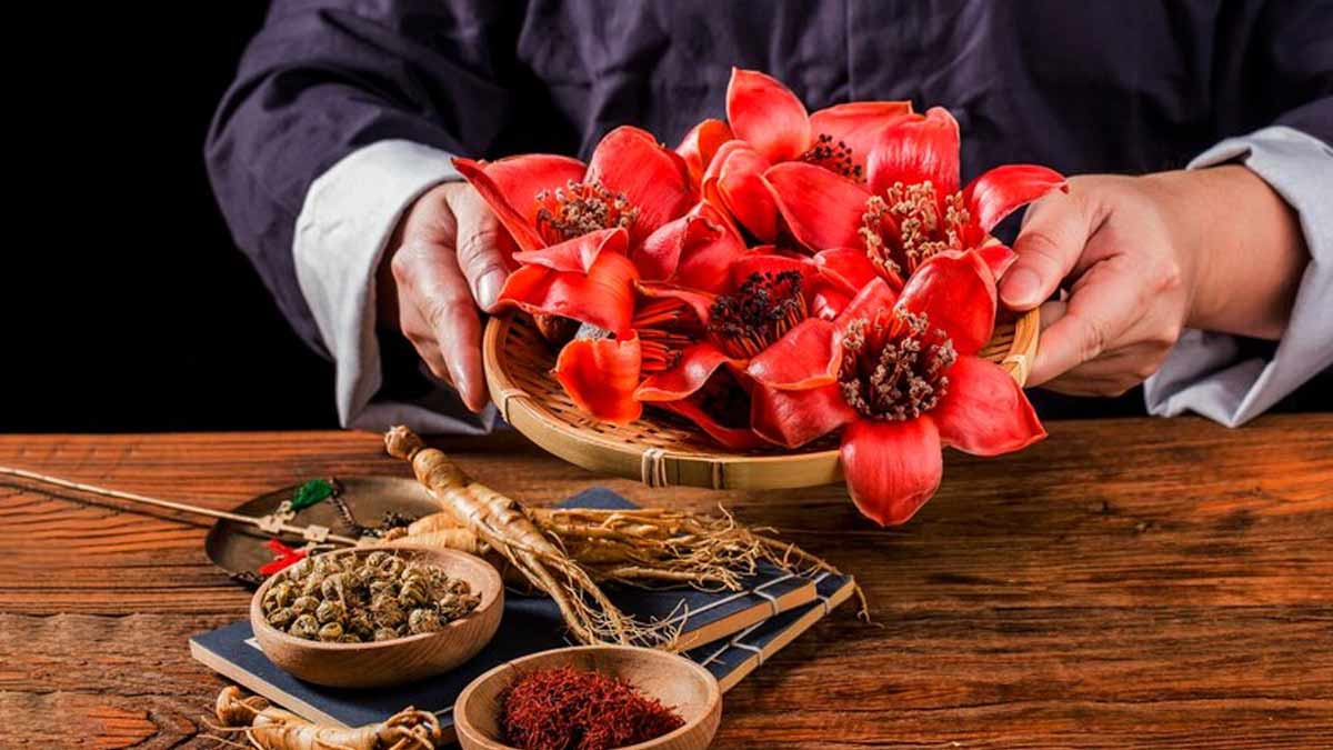 桂枝新加汤